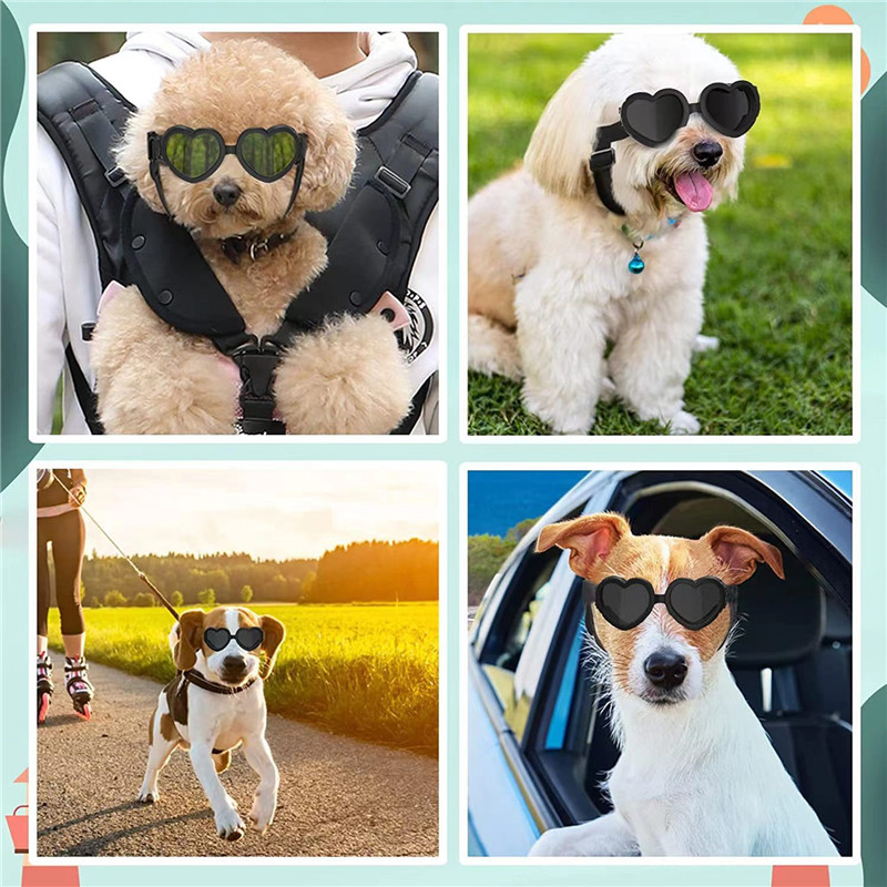 1개 하트 모양 소형견 선글라스 방수 UV 차단 고양이 - Sunglass Retainer Cord 리뷰 및 가격